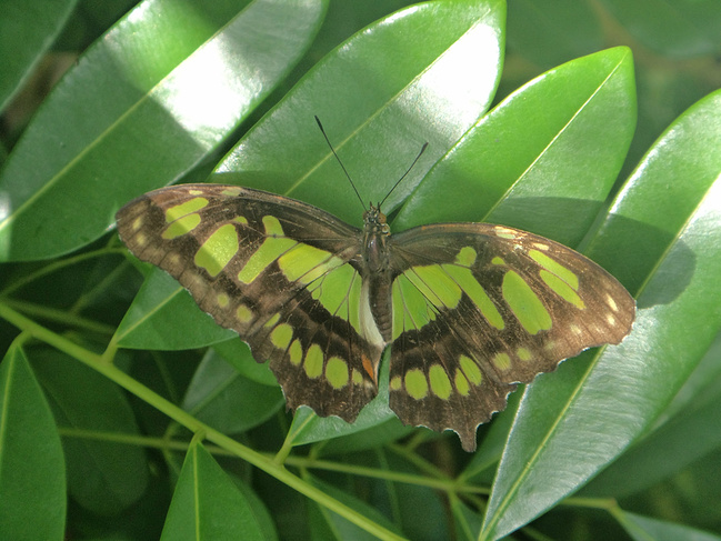 去墨西哥感受玛雅文明_坎昆旅游攻略