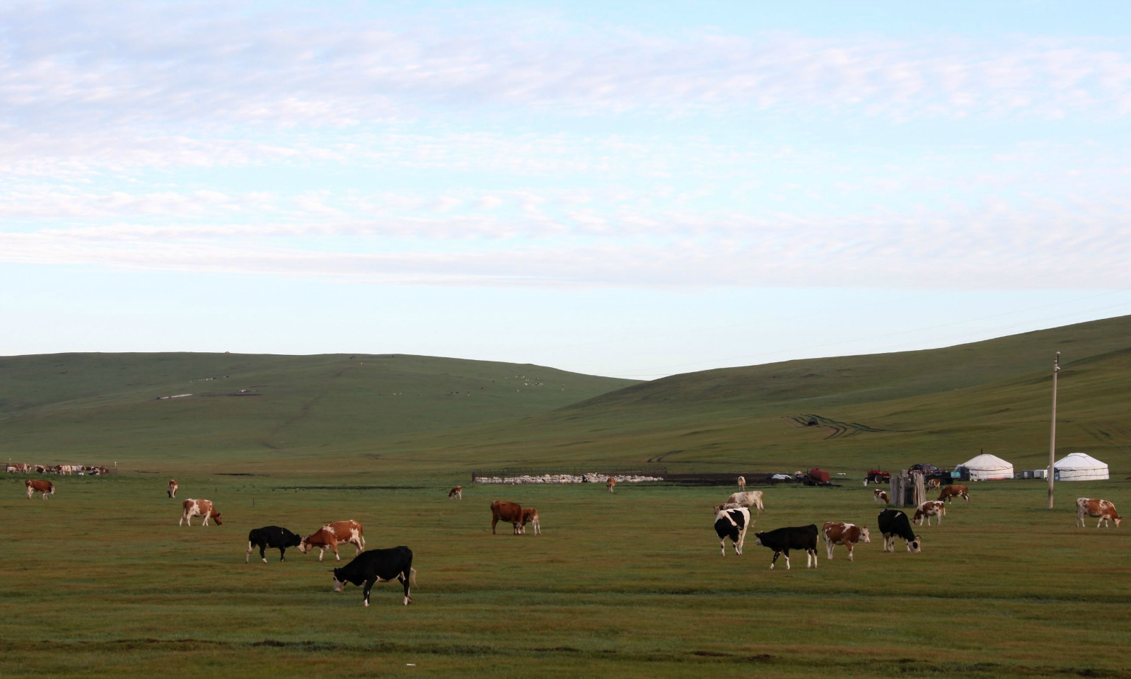 奔跑与征服—美丽的呼伦贝尔