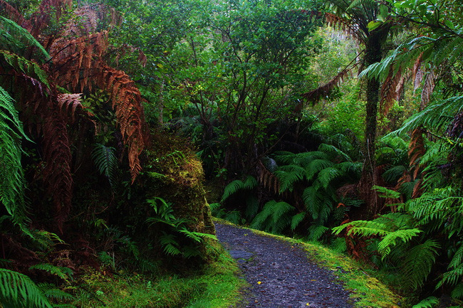 新西兰南岛自驾游_瓦纳卡旅游攻略