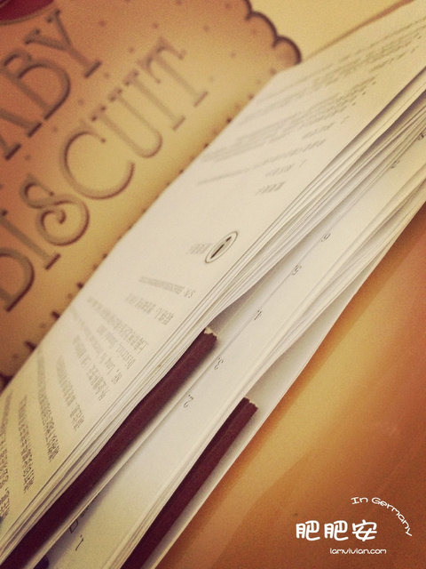 欧洲游_旅游攻略