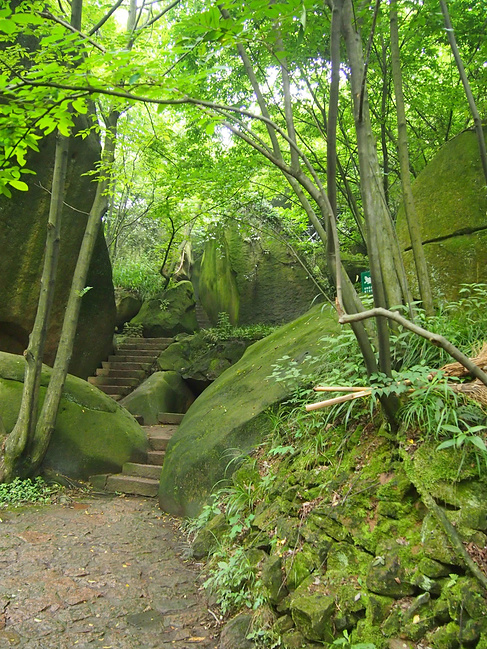 九华天池1日游_池州旅游攻略_自助游攻略_去