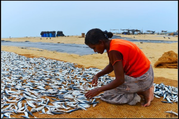 深度体验斯里兰卡生活_科伦坡旅游攻略