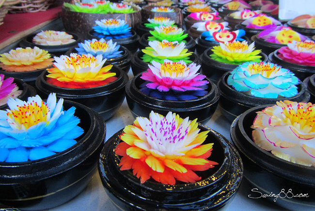 在泰国龟岛学潜水的日子