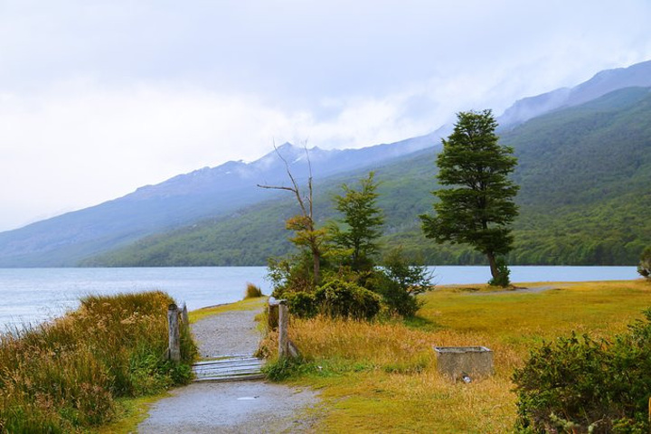 天阴沉沉的,景色有些沉闷