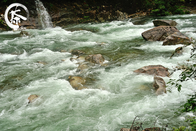 武夷之旅,尽品茗香_南平旅游攻略