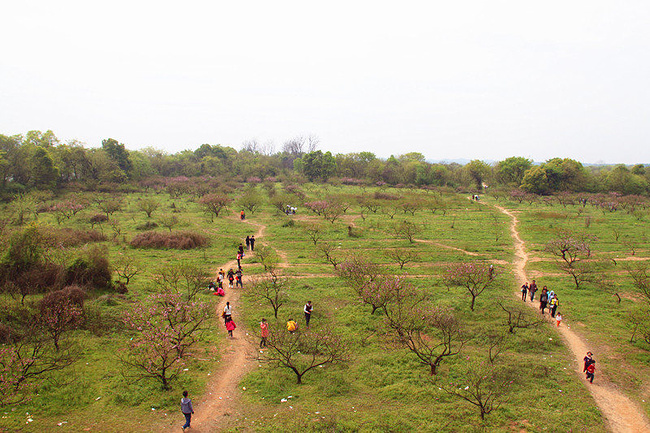 优美桃花岛,吹吹风_舟山旅游攻略