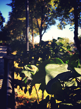 2015克里姆林宫_旅游攻略_门票_地址_游记点