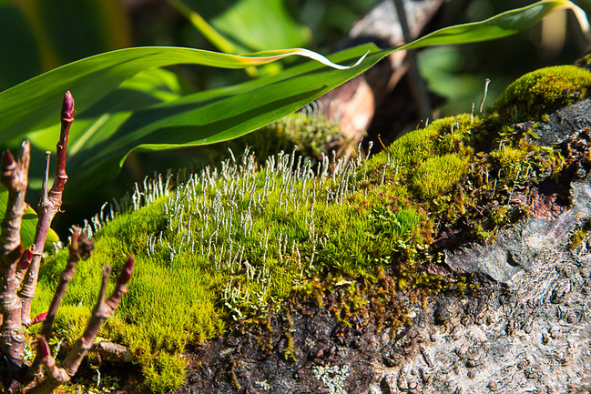 探寻北海道秘境_札幌旅游攻略_自助游攻略_去