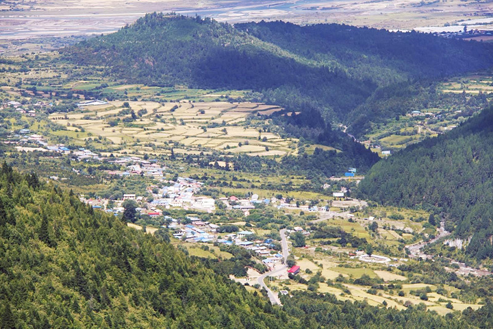 2015从八一镇出发后,很快就来到鲁朗镇_鲁朗评论 - 去哪儿攻略社区