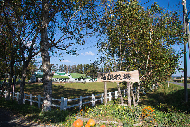 探寻北海道秘境_札幌旅游攻略_自助游攻略_去