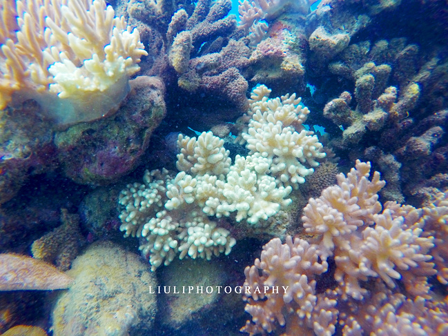 【越南越美】在雨季,遇见不一样的芽庄_芽庄旅