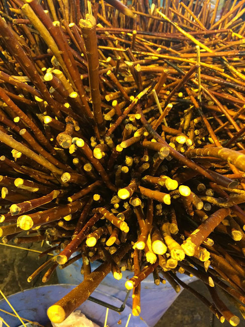 欠自己的旅行--西安5日游_西安旅游攻略