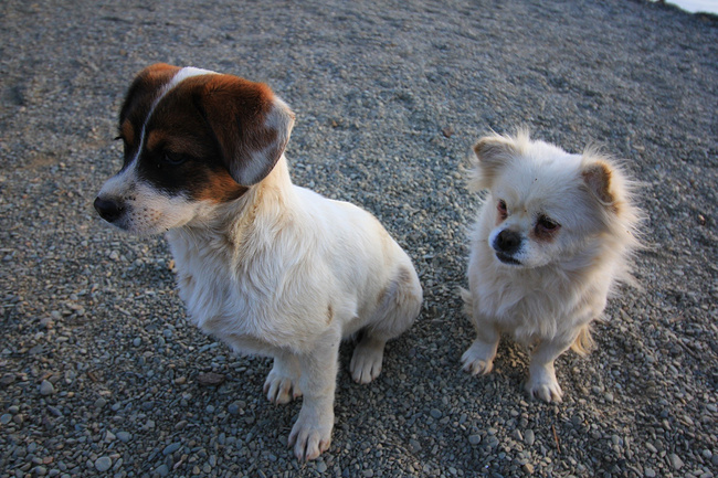 冬季云南自由行~_大理旅游攻略_自助游攻略_