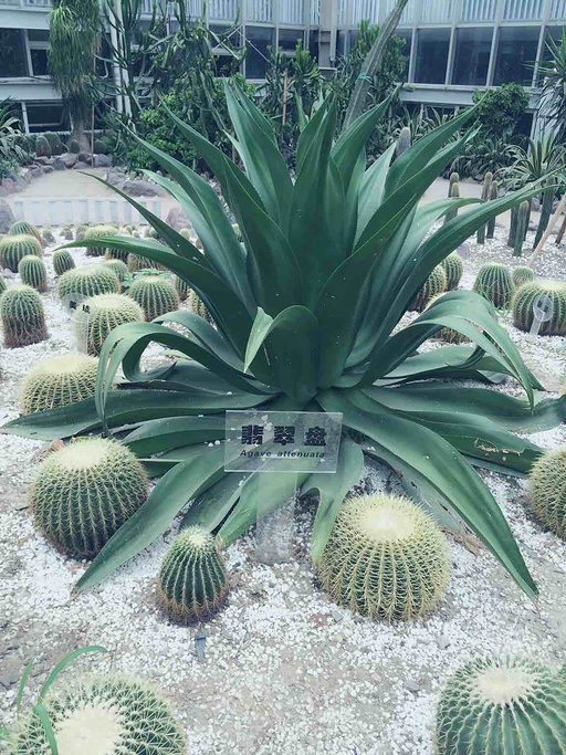 2016成都植物园_旅游攻略_门票_地址_游记点