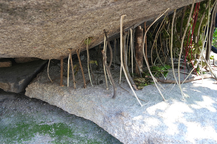 2016个子不高的中年男子, 讲的非常好_南普陀