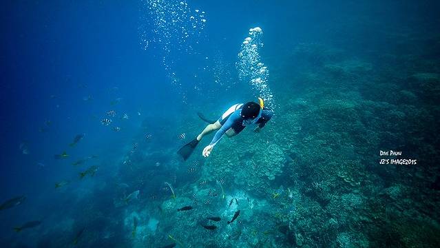 梦境的深潜，探索我本人不会游泳却经常梦见自己掉进水里在紧急时突然发现自己的奥秘