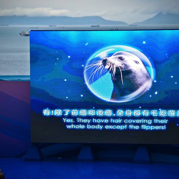 2019海洋攻略门票,香港剧场海洋游玩海洋,剧场攻略平江路图片