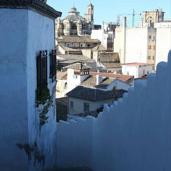 我们从格拉纳达市中心的新广场出发(Plaza Nueva),这里也是许多游客的集散地。从这里辐射向四面八方的许许多多条路真是让人迷乱,这也是一个布满饭店酒吧旅馆商店的热闹的广场。格拉纳达是东西方文化交融之处,而阿尔拜辛(Albaizn)是格拉纳达的一个古城区,更是格拉纳达文化的代表之处。这里并不是一个荒废的古城,而是如今仍然住满居民,到处都是饭店酒馆的一座仍然充满生活气息活生生的古城。这里全是蜿蜒狭窄曲径通幽的中世纪摩尔街道,正是因为这样的地形,才易守难攻,才让格拉纳达成为最后一块被西班牙天主教国王夫妇