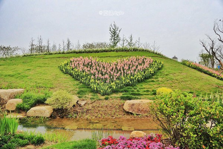 精灵花园_精灵花园糖果_精灵花园