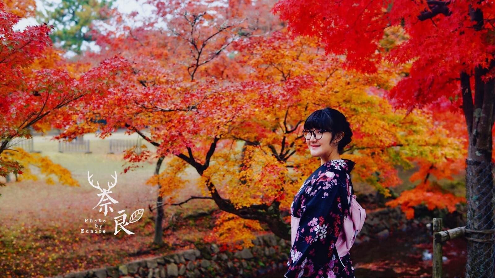 京阪奈 红叶狩 大自然的调色板 京都旅游攻略 游记 去哪儿攻略