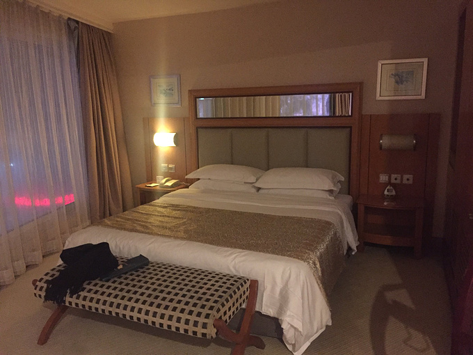 春节初行游武汉