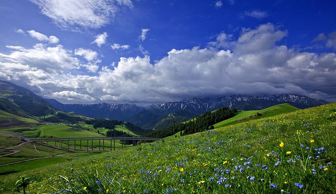 被誉为春夏时节新疆西线里最美丽的山谷图片