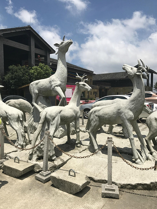 永泰云顶蚂蚁窝蛋居医生(原云顶蛋居)图片乌龟怎么给酒店做手术图片