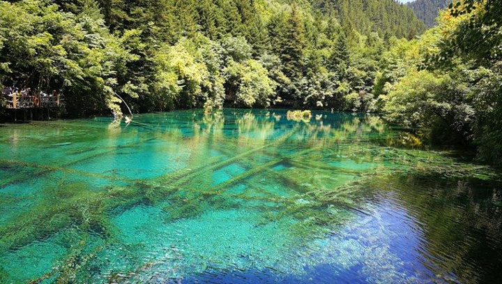 养精蓄锐,准备第二天好好玩九寨沟.青城山真心是个很不错的景点了.