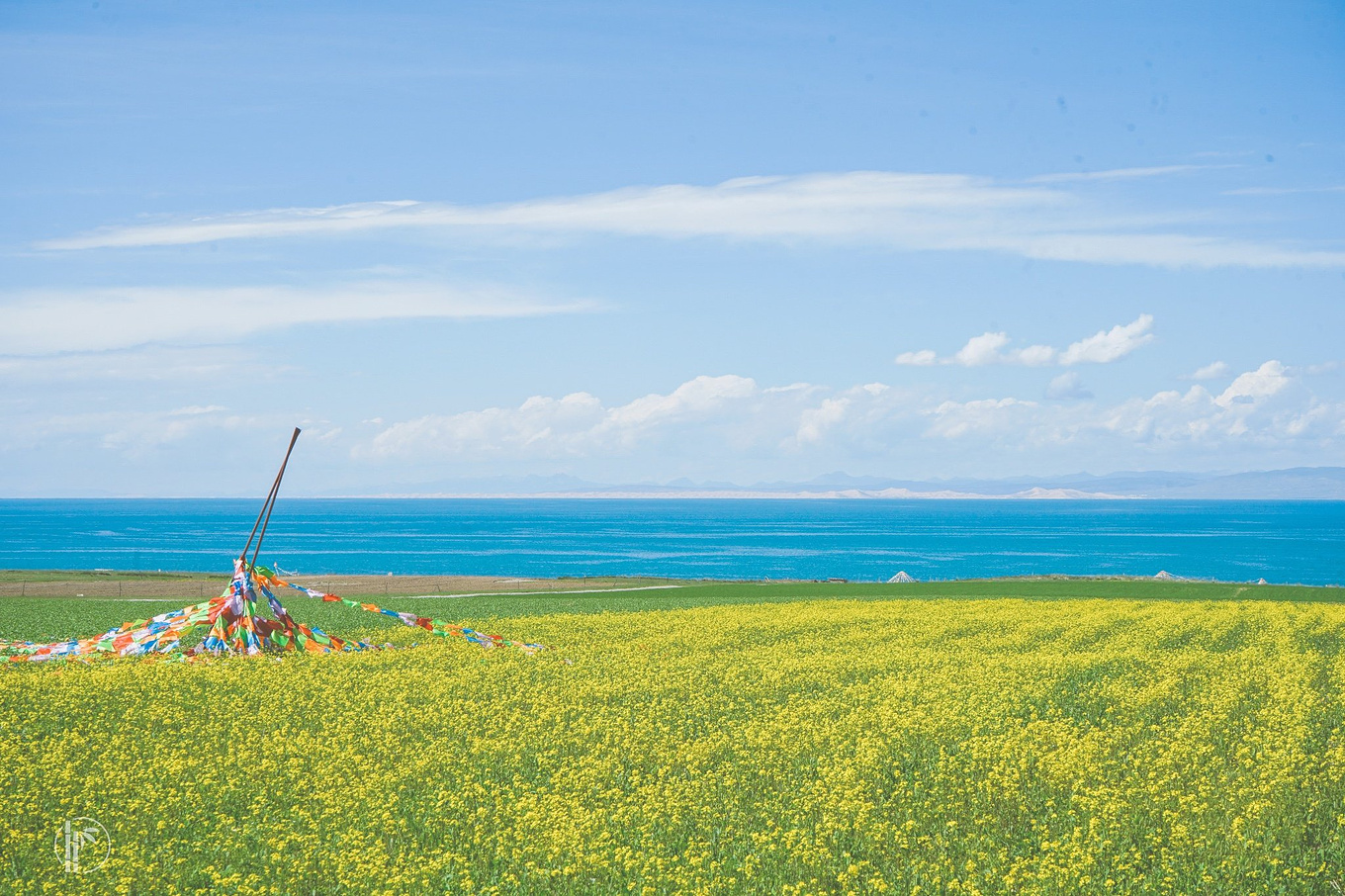 青海小环线·记毕业旅行