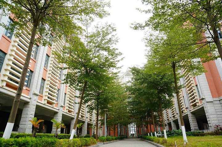 厦门市集美大学以其优美的胜景与历史文化背景的敲到好处的结合给这座
