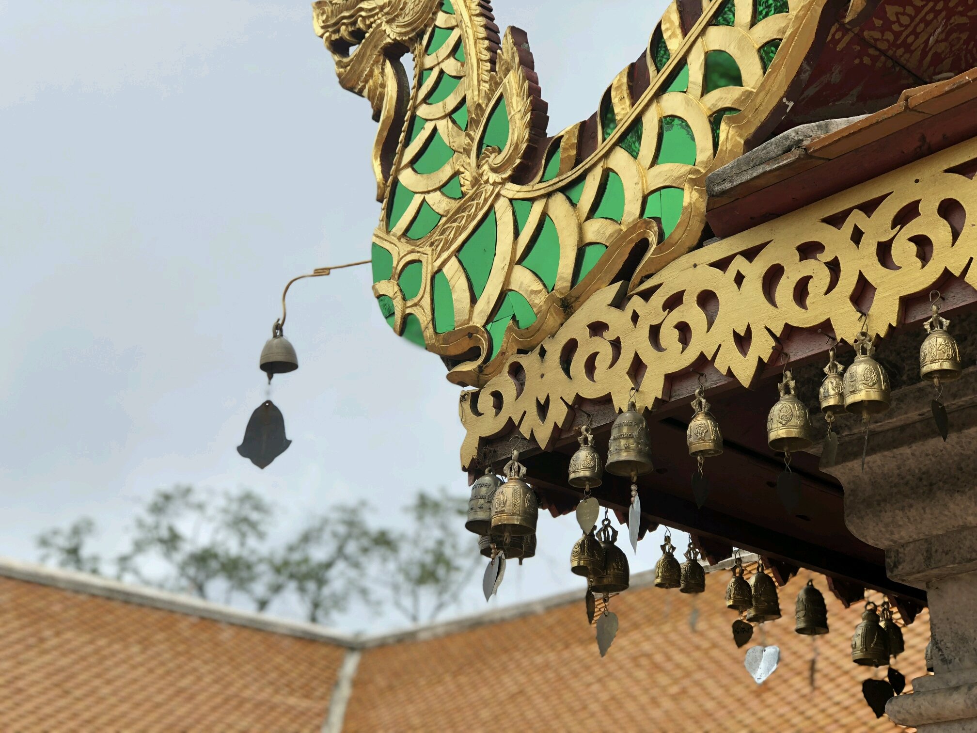 清迈-普吉6日游_清迈v梦幻梦幻_自助游药师_去哪儿攻略攻略手游攻略攻略图片