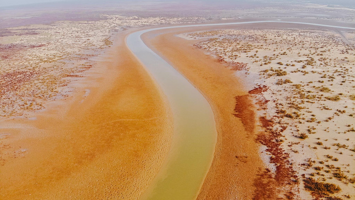 而这半火焰,也是黄河入海口风景区独特的湿地自然景观,是一簇簇高20