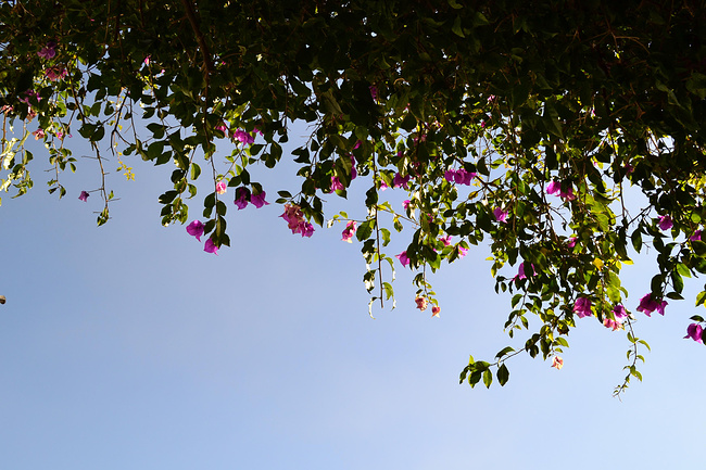 大理2日游_大理旅游攻略