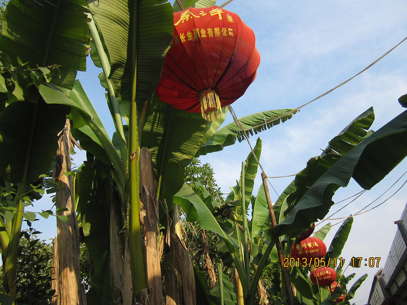 享受一个人的旅行~~陕西_西安旅游攻略_自助