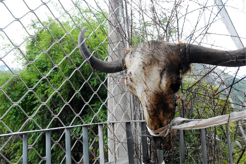 2014早晨从八一镇出发,沿机场路途经林芝米林