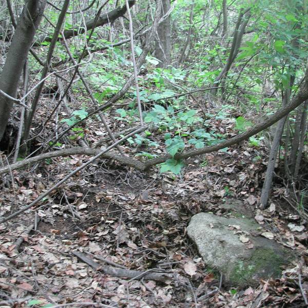 2018王顺山_v地址地址_门票_攻略_游记捕鱼,蓝玩点评攻略一起图片