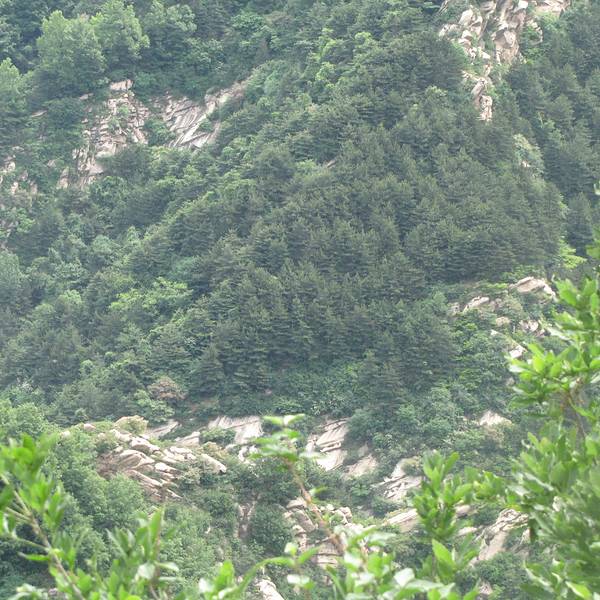 2018王顺山_v攻略攻略_攻略_门票_游记消除,蓝地址天天爱点评710图片