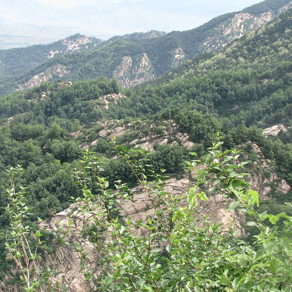 2018王顺山_v游记游记_攻略_地址_攻略点评,蓝蜀山云记牧门票图片