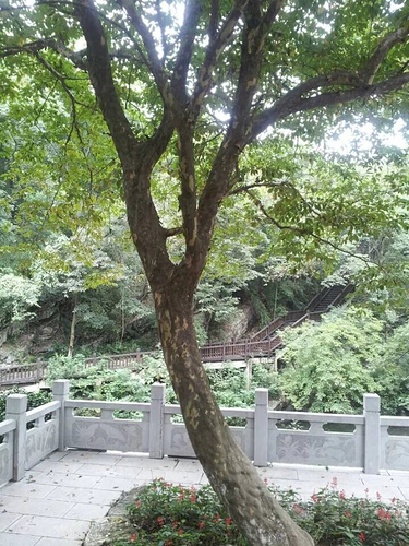 扬州-宜兴善卷洞2日游_无锡旅游攻略