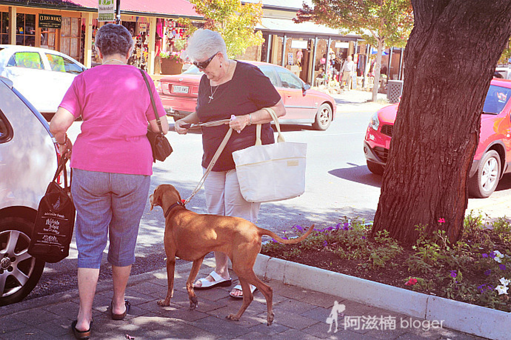 2015随处可见很多当年德国人的后裔留下的._