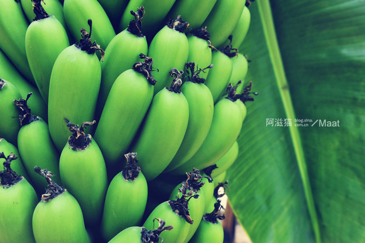 2015手机的自拍功能还是不错的_北京评论