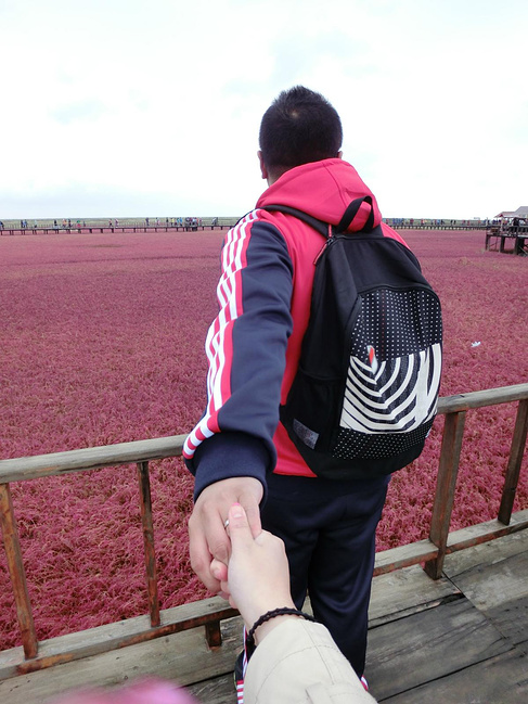 红海滩,笔架山,菊花岛辽宁省自驾游_盘锦v攻略攻略一叶空攻略之缘图片