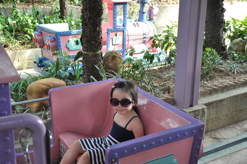 2017 海洋公园更适合孩子游玩,有许多动物和低