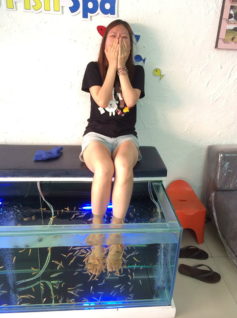 两个胖子的泰国清迈之旅_清迈旅游攻略