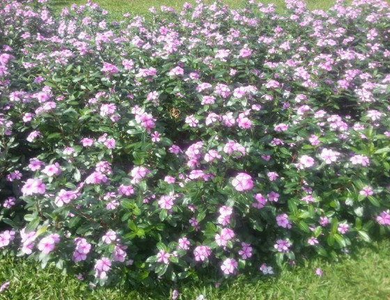 三亚吃海鲜哪里好,三亚旅游,三亚自由行_三亚