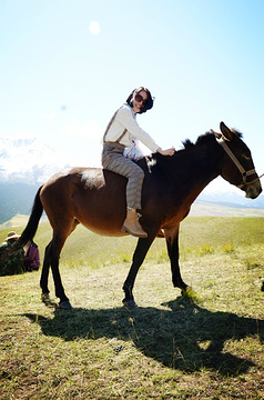 2015卓尔山_旅游攻略_门票_地址_游记点评,海