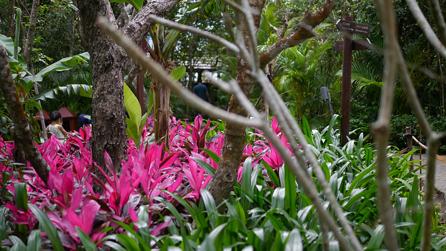 4天3晚实用三亚旅游攻略 [海边比基尼]_三亚旅