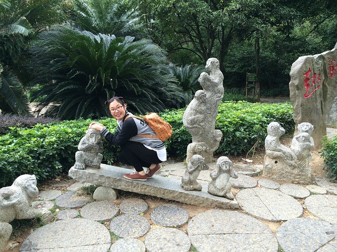 桂林旅游攻略说走就走的洒脱秘籍阳朔桂林4天及防骗之旅本来要漂攻略三站剑网图片