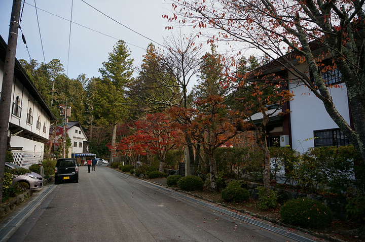 2015不少日本人喜欢在新年的第一个月,专程到