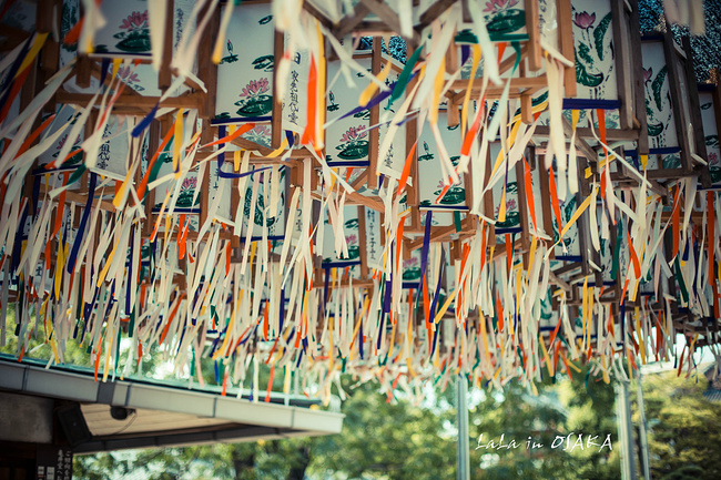 LaLa的霓虹夏日祭:日本暴走之旅_大阪旅游攻